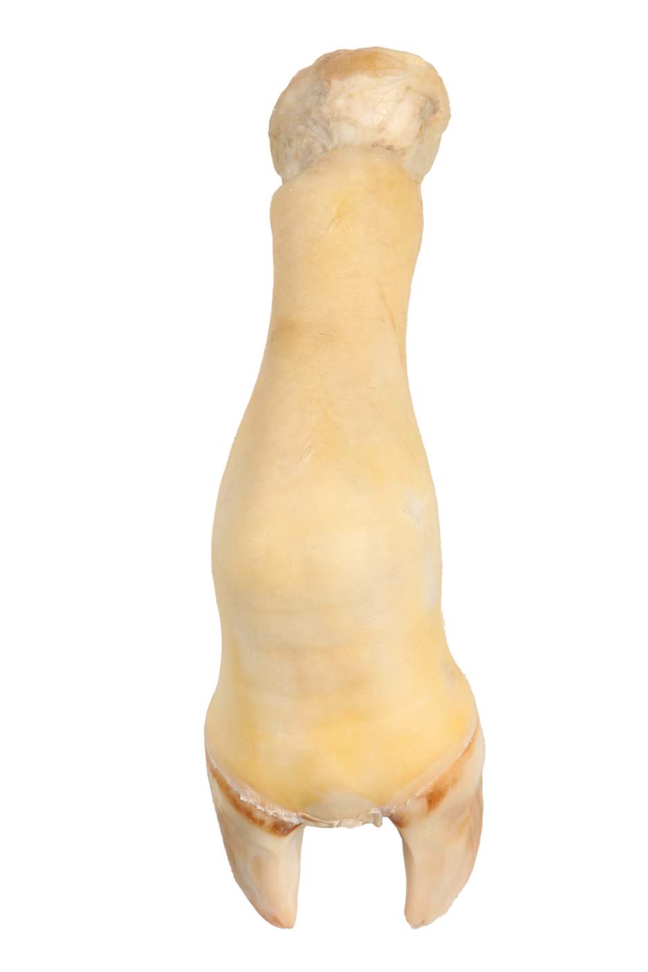 Mocotó 12111_0_small